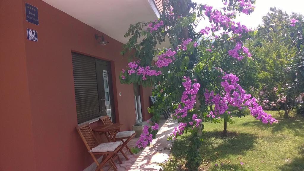 Dadule Apartments Ποντστράνα Εξωτερικό φωτογραφία